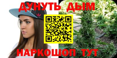 молекула духа Гатчина