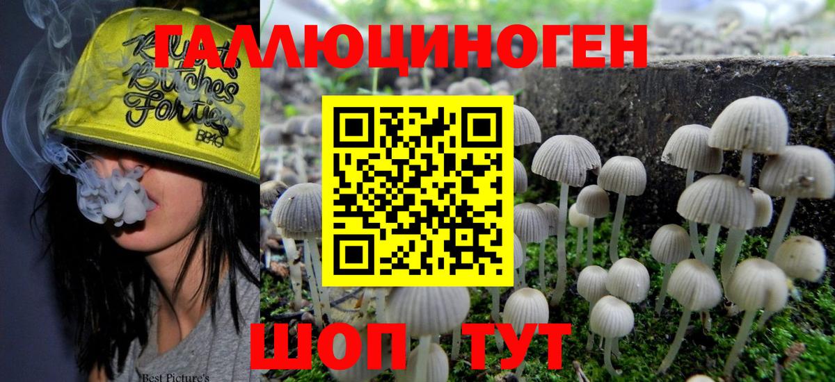 Галлюциногенные грибы мухоморы Мурино